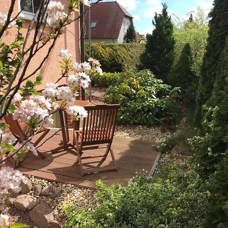 Ferienwohnung Storchenwiese In Nuthetal Ot Saarmund Exteriér fotografie
